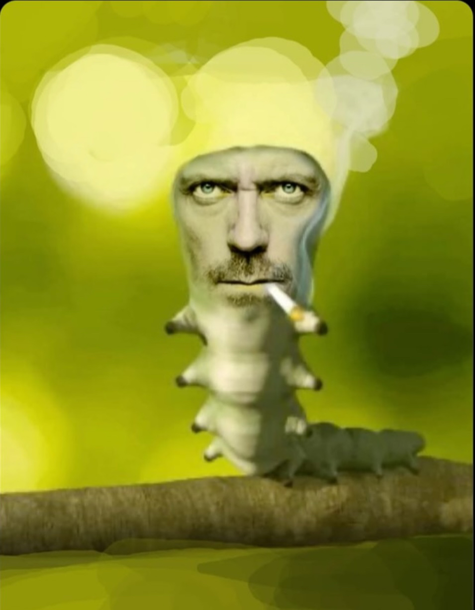 Catapilla